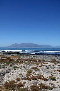 On Robben Island South Africa