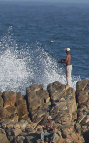 Sea fishing from the rocks in Plettenberg Bay South Africa